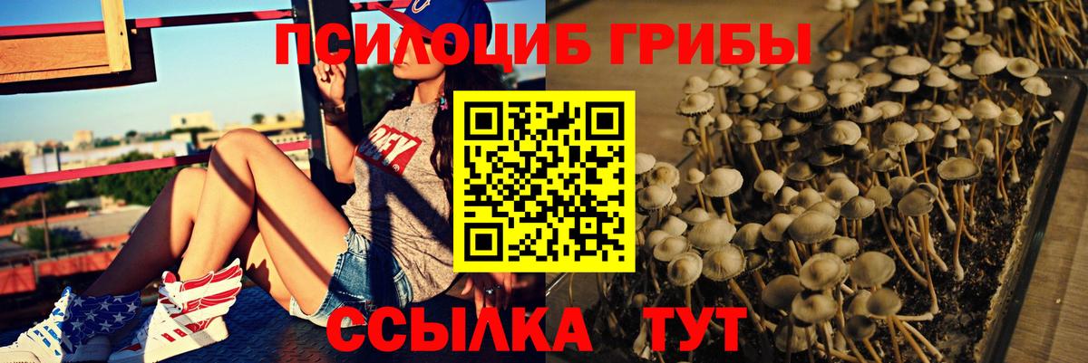 Галлюциногенные грибы Cubensis Волгоград