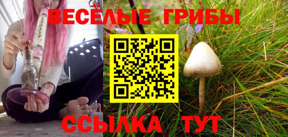 Волгоград  Псилоцибиновые грибы мицелий  Вход с VPN 